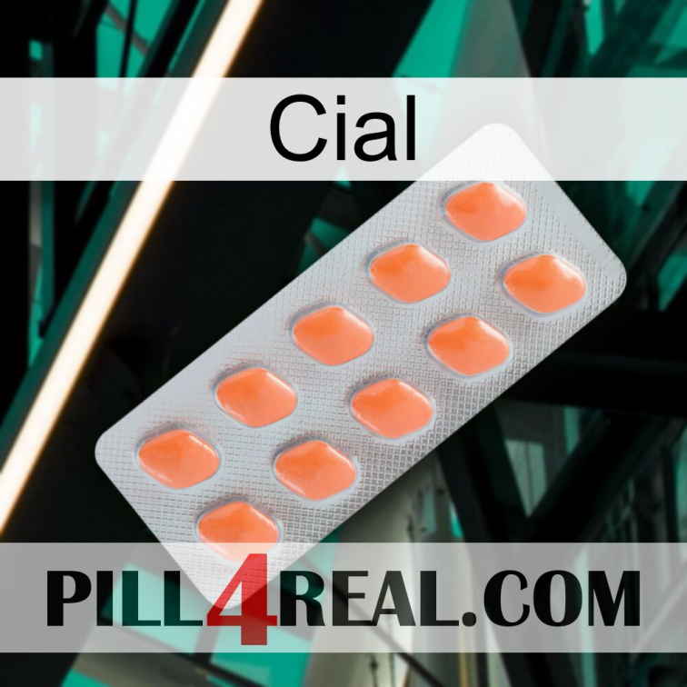 Cial 26